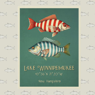 Postale Lake Winnipesaukee New Hampshire fish Carte postal