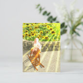 Postale L'art de la carte Sun Tarot (Debout devant)