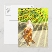 Postale L'art de la carte Sun Tarot (Devant / Derrière)