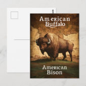 Postale Le bison américain sur une carte (Devant / Derrière)