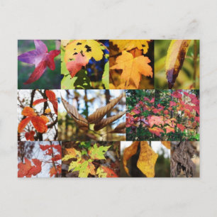 Postale Légendes de la carte poétique d'automne