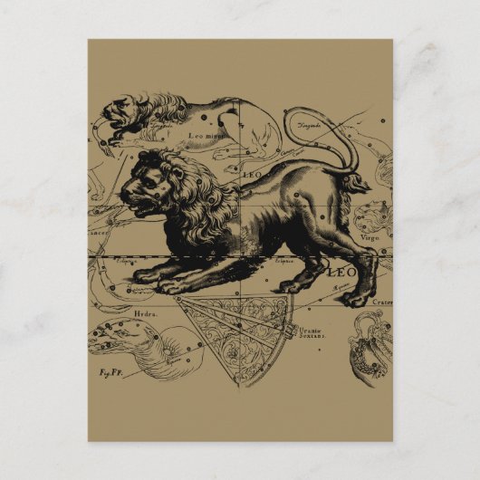 Postale Leo Constellation Carte Hevelius vers 1690 (Devant)