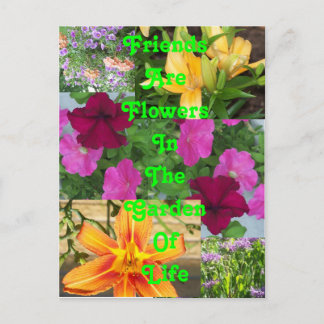 Postale Les amis sont Fleurs ... carte postalePC78
