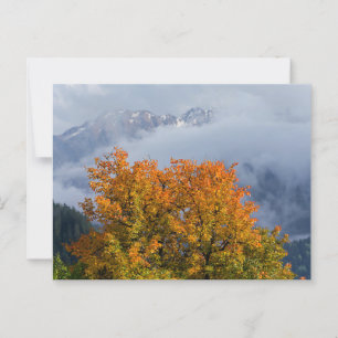 Postale Les couleurs de l'automne et les montagnes carte p