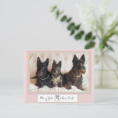 Postale Les Filles Classiques Portent Des Perles Carte Pos (Debout devant)