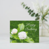 Postale Les fleurs de jasmin sont sur la carte d'anniversa (Debout devant)