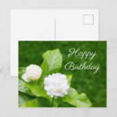 Postale Les fleurs de jasmin sont sur la carte d'anniversa (Devant / Derrière)