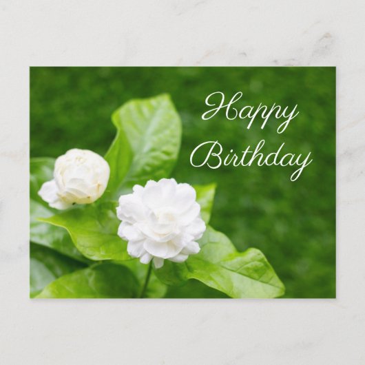 Postale Les fleurs de jasmin sont sur la carte d'anniversa (Devant)