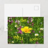 Postale Les Fleurs D'Été Se Font Bien Bientôt Carte Postal (Devant / Derrière)