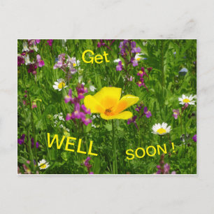 Postale Les Fleurs D'Été Se Font Bien Bientôt Carte Postal