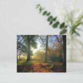 Postale Lever du soleil dans la forêt d'automne Carte post (Debout devant)