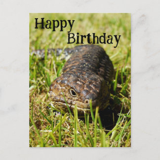 Postale Lézard à langue bleue australien, Carte d'annivers