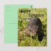 Postale Lézard à langue bleue australien, Carte d'annivers (Devant / Derrière)