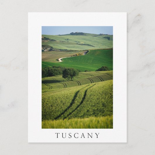 Postale Lignes courbes en vert Toscane élégante carte post (Devant)