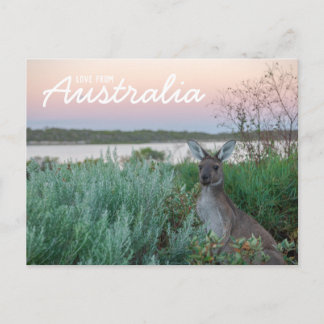 Postale Love From Australia Kangaroo Sunset Lake Carte pos