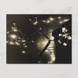 Postale lumières abstraites noir et blanc photo Carte post