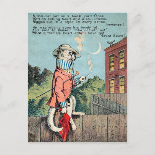 Postale M. Morse Carte de commerce de chat no 1 (de 4)