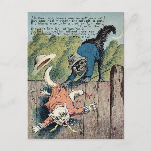 Postale M. Morse Carte de commerce de chats no 3 (de 4) (Devant)
