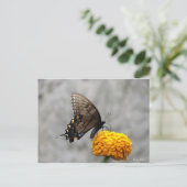 Postale Ma carte papillon (Debout devant)