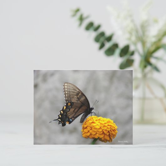 Postale Ma carte papillon (Debout devant)