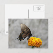 Postale Ma carte papillon (Devant / Derrière)