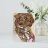 Postale Magnifique Carte de remerciements Cockapoo Puppy (Debout devant)