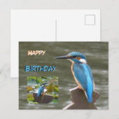 Postale Martin-pêcheurs mignons Carte d'anniversaire (Devant / Derrière)
