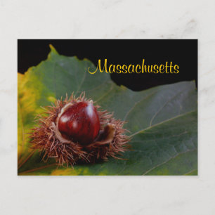 Postale Massachusetts, Feuilles D'Automne Avec Carte Posta