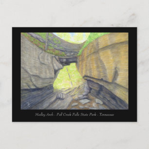 Postale Medley Arch Natural Bridge - Carte d'art des Appal