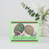 Postale Melons ANTHROPOMORPHIQUES Pun Produire CARTE POSTA (Debout devant)