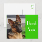Postale Merci Allemand Berger Chien Chien Chien Pot Carte (Devant / Derrière)
