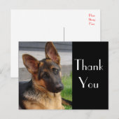 Postale Merci Allemand Berger Chien Chien Chien Pot Carte (Devant / Derrière)