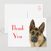 Postale Merci Allemand Berger Chien Chien Chien Pot Carte (Devant / Derrière)