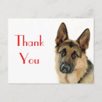 Merci Allemand Berger Chien Chien Chien Pot Carte