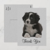 Postale Merci Bordure Collie Chien Chien Chien Chien Carte (Devant / Derrière)