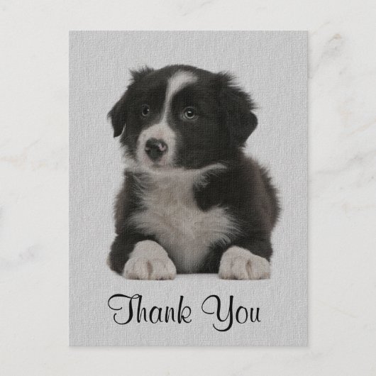 Postale Merci Bordure Collie Chien Chien Chien Chien Carte (Devant)