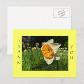 Postale Merci - carte à fleurs ensoleillées (Devant / Derrière)