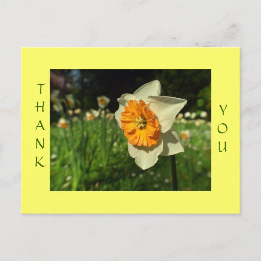 Postale Merci - carte à fleurs ensoleillées (Devant)