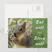 Postale mignon écureuil bien manger et dormir bien carte p (Devant / Derrière)