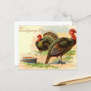 Postale mignon Thanksgiving Holiday dinde vintage Carte po