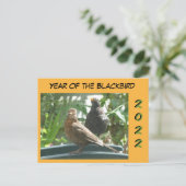Postale Mignons Blackbirds Pair Année 2022 Coupe. Carte po (Debout devant)