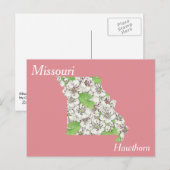 Postale Missouri State Flower - Carte de collage (Devant / Derrière)
