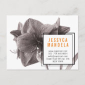 Postale Moderne Amaryllis Fleur Orange Carte de visite Mag (Devant)