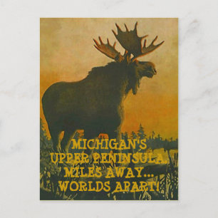 POSTALE MOOSE AT SUNSET ~ UPPER PENINSULA VOYAGE CARTE POS