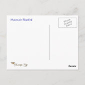 Postale Mountain Bluebird Wildlife Series # 2 Carte postal (Dos)