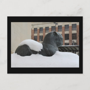 Postale Musée d'Histoire Naturelle, Ann Arbor, carte posta