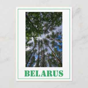Postale Nature Paysage Chercher Forêt Biélorussie Carte po
