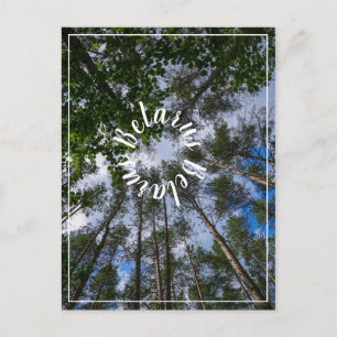 Postale Nature Paysage Chercher Forêt Biélorussie Carte po