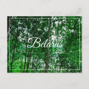 Postale Nature Paysage paysage Birch Biélorussie Carte pos