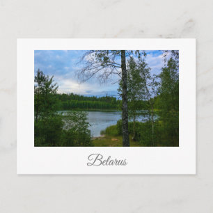 Postale Nature Paysage paysage Birch Biélorussie Carte pos